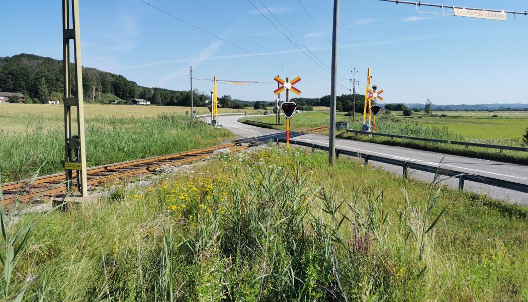Vägskydd före modernisering. Foto: Norconsult