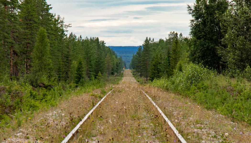 Foto: lasse nystedt/unsplash