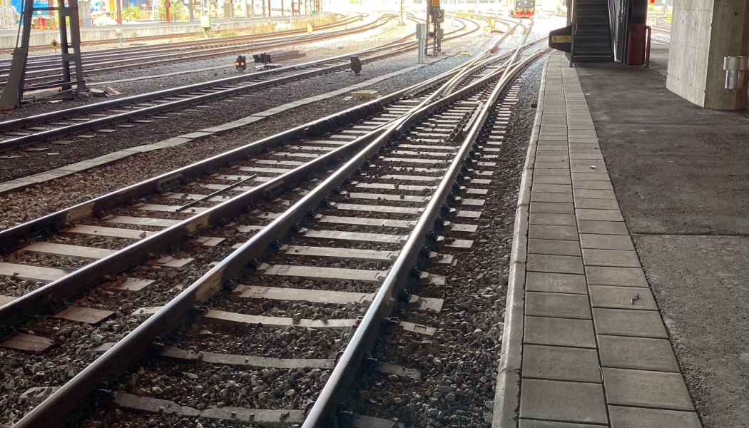 Totalt 33 växlar ska bytas ut fram till sommaren 2024. Foto: Trafikverket