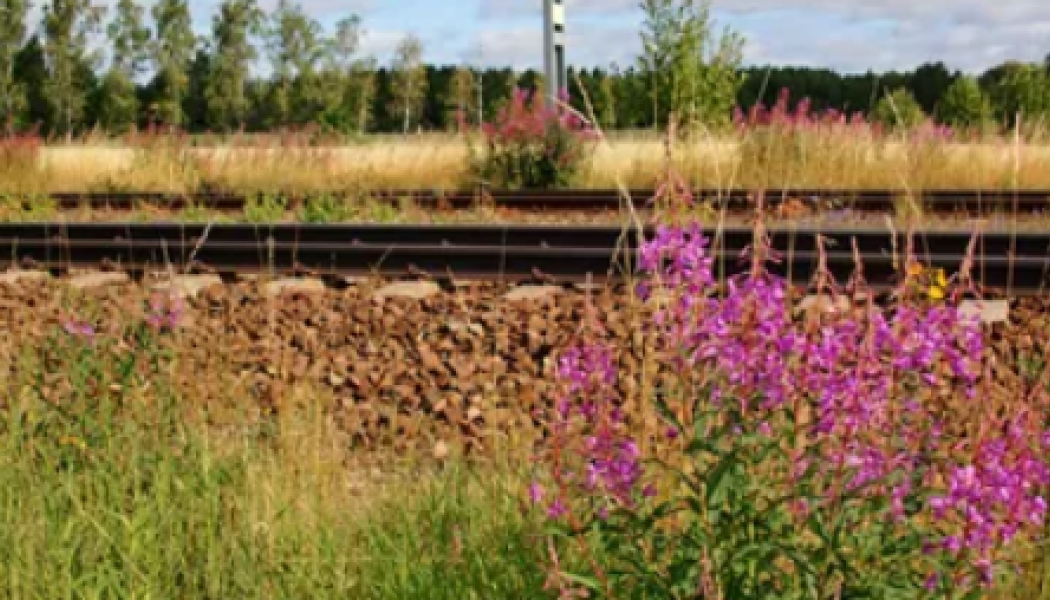 Trafikverket tar nytt steg i processen för att upplåta del av sträckan Jörn-Norlunda. Foto: Trafikverket 