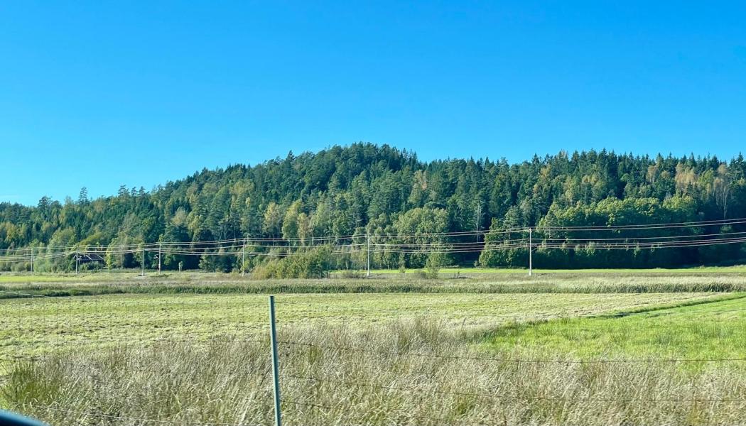 Åtgärderna innebär att vissa plankorsningar avvecklas, att andra förstärks och att ersättningsvägar byggs. Foto: Stina Wickenberg