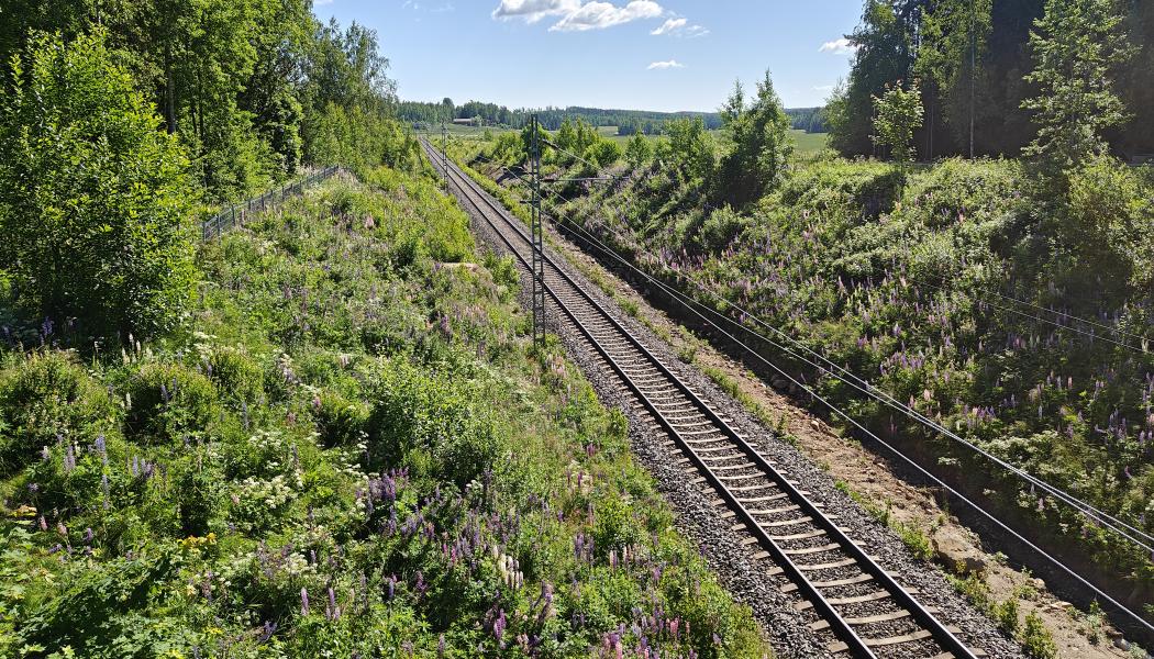 Finskt järnvägsspår. Foto: Väylävirasto