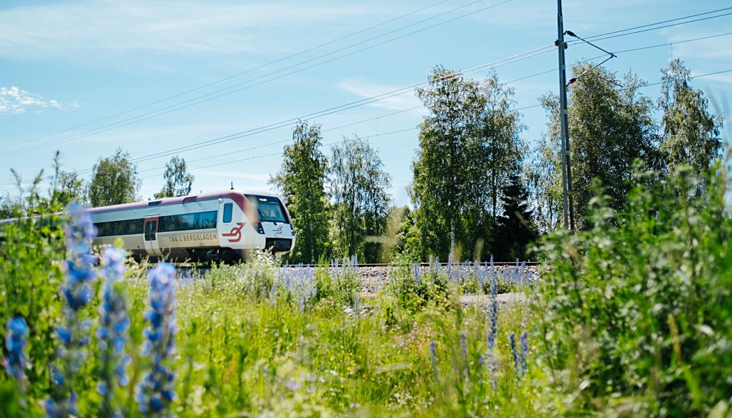 Tåg i bergslagen, Regina. Foto: Dalatrafik