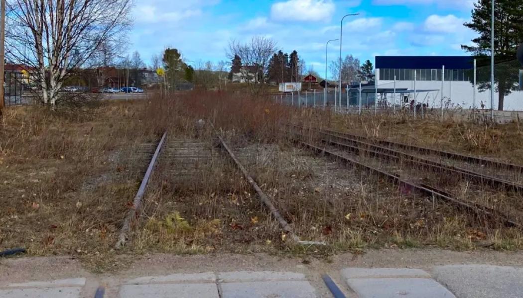I mitten av oktober började arbetet med vegetationsröjning längs järnvägen mellan Bollnäs och Edsbyn. Nu förlängs arbetet vidare mot Orsa. Foto: Trafikverket