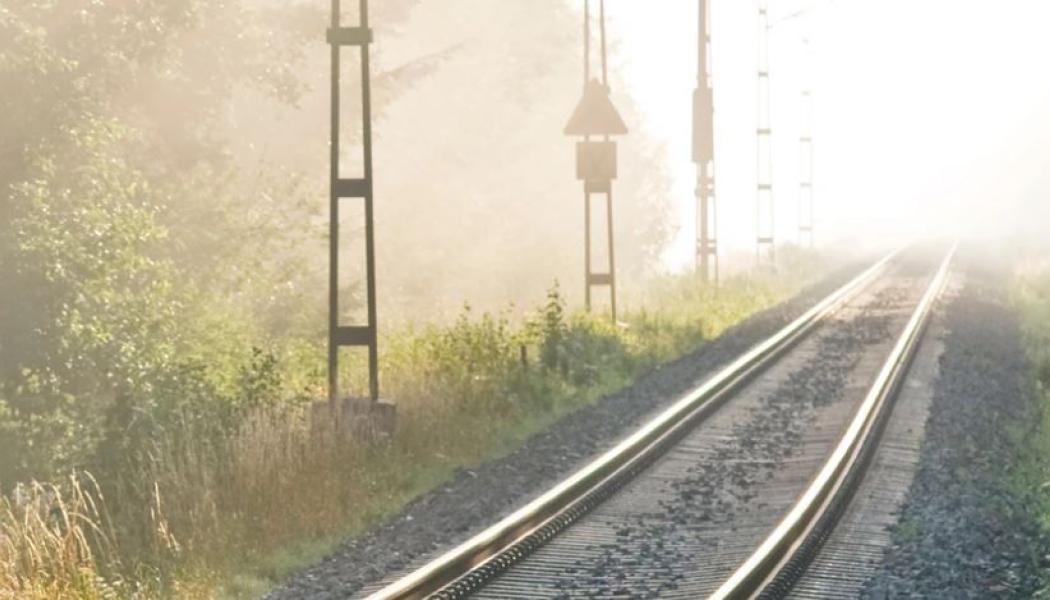 För att minska viltolyckorna på några av de mest utsatta järnvägssträckorna med 80 procent. Foto: Trafikverket 