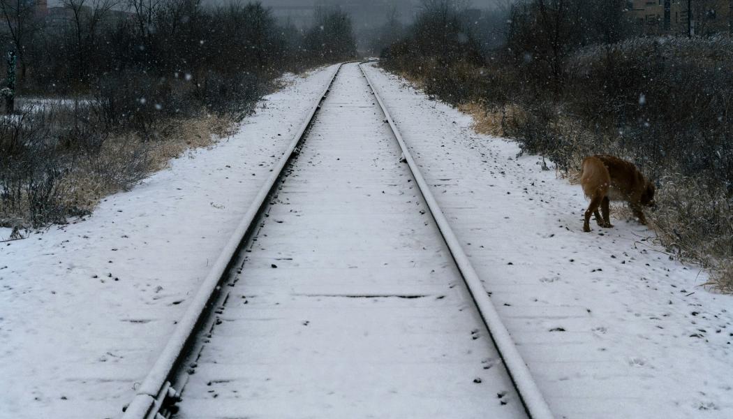 Trafikverkets världsunika testmetod kan komma att användas på fler platser i landet. Foto: olivier amyot/unsplash