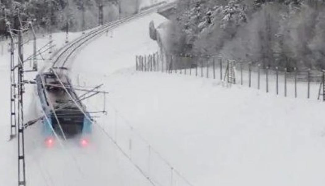 Nya stängsel ska minska viltolyckor på järnvägen