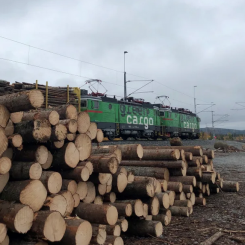 Green Cargo bildar en särskild enhet för rundvirkeslogistik. Foto: Green Cargo