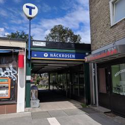 Näckrosens tunnelbana. Foto: AleWi/Wikimedia Commons/https://commons.wikimedia.org/wiki/File:N%C3%A4ckrosen_tunnelbana_20180624_08.jpg