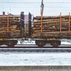 Tågen kommer att trafikera nio terminaler och transportera rundvirke till ett tiotal industrikunder runt om i landet. Foto: robert larsson/unsplash