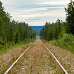 Inlandsbanan. Foto: lasse nystedt/unsplash