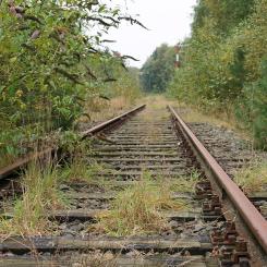 Iron Rhines delsträcka vid nederländska tågstationen Vlodrop. Foto: Wikipedia Common lic. Kredit: Bert K of Flickr.