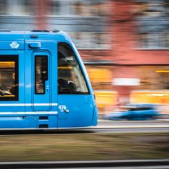 Foto: patrik carlberg/unsplash