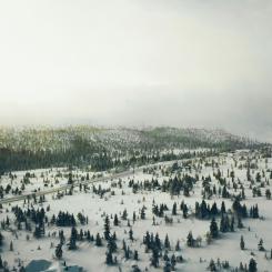 Enligt Erik Nises, kommunstyrelsens ordförande, kan projekt förändra förutsättningarna för att bo och leva i Dalarna. Foto: Michael Odelberth/Unsplash