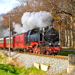 "Molli" färdas längs en historisk smalspårsbana i Mecklenburg-Vorpommern. Tåget trafikerar sedan 1886 sträckan mellan Bad Doberan, Heiligendamm och Kühlungsborn. Banan, som är en av Tysklands äldsta smalspårsbanor, har blivit en populär turistattraktion då den fortfarande drivs med klassiska ånglok. Ångtågen kör genom stadens gator i Bad Doberan innan de fortsätter genom natursköna landskap mot kusten. Foto: MBB