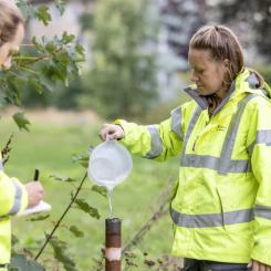 Genom att installera grundvattenrör på en mängd olika platser är det möjligt att få en heltäckande bild av hur vattnet rör sig i marken. Foto: Region Stockholm/Liza Simonsson