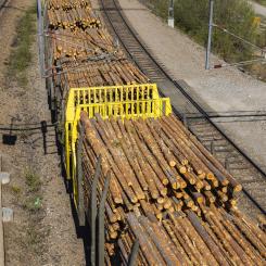 2025 transporterades 3,1 miljoner kubikmeter rundved på järnväg, vilket är den högsta volymen någonsin för företaget. Foto: SCA.