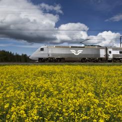 De extrainsatta tågen kommer att trafikera sträckor som Stockholm – Göteborg, Stockholm – Malmö/Köpenhamn och Stockholm – Umeå.  Foto: SJ