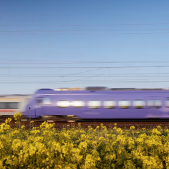Moderaterna är fortsatt kritiska mot höghastighetsbanan som helhet. Foto: M