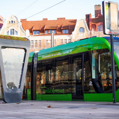 Spårvagnshållplatsen på Clemenstorget. Foto: Jacob Pihl, Skånetrafiken.