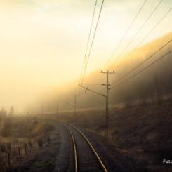 104 TGV-tåg berörs av Botoxprogrammet. Foto: TGV