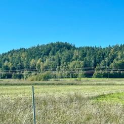 Åtgärderna innebär att vissa plankorsningar avvecklas, att andra förstärks och att ersättningsvägar byggs. Foto: Stina Wickenberg