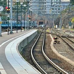 Även för lokalbanorna är spårspringet ett stort problem. Roslagsbanans tåg har en bromssträcka upp mot 600 meter. Foto: Stina Wickenberg