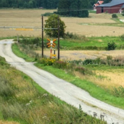 Den säkraste plankorsningen är den som inte finns. Foto: Trafikverket